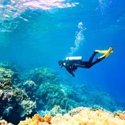 غواصی غواصی